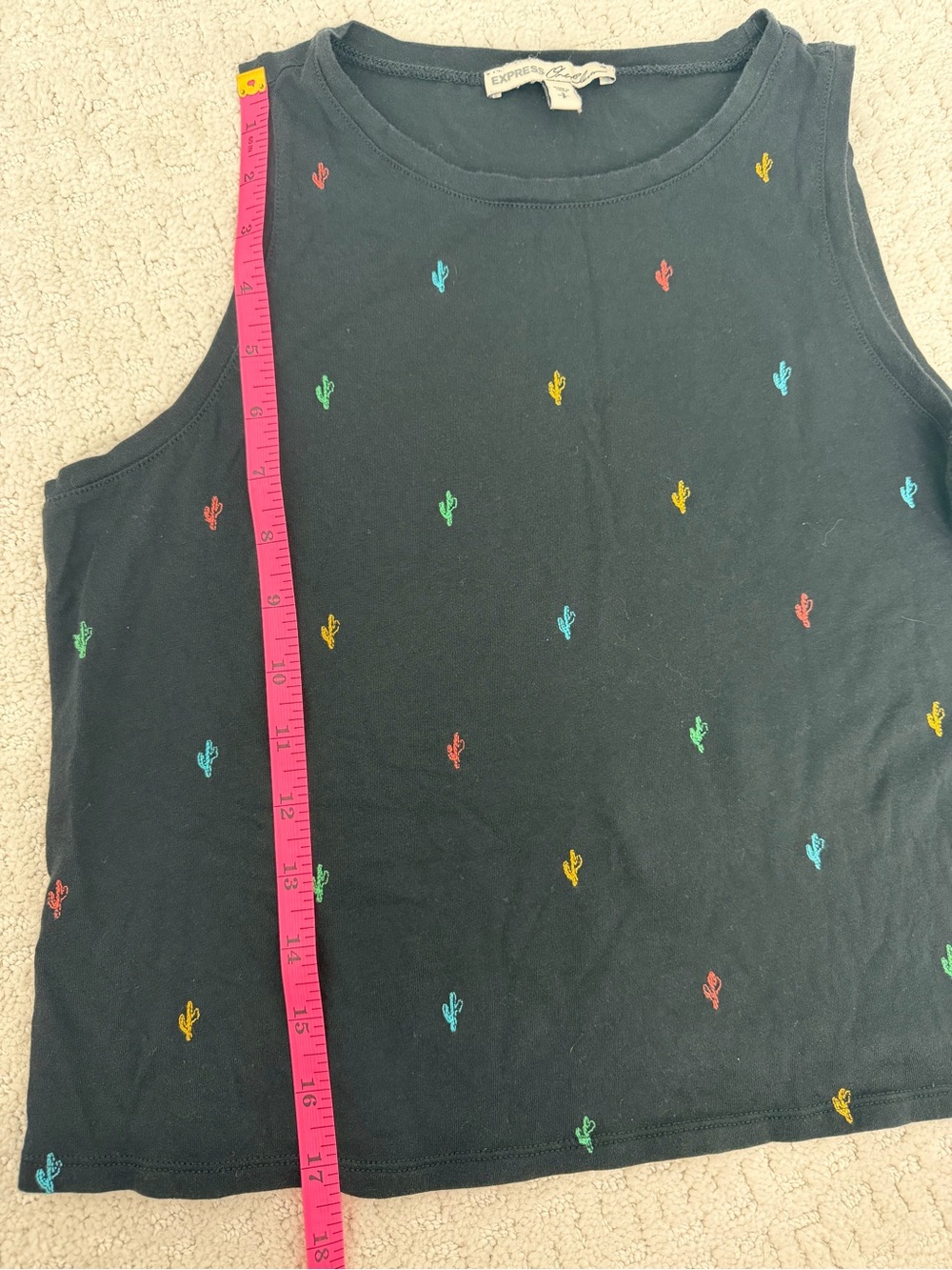 Express Black Tank Top with Multicolor Cactus Embroidery - Picture 3 of 5